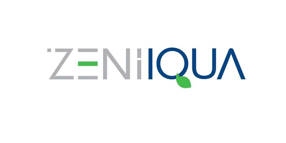 Top 10 Reasons to Choose Zeniqua Bright Bites Multivitamin Gummies for Kids