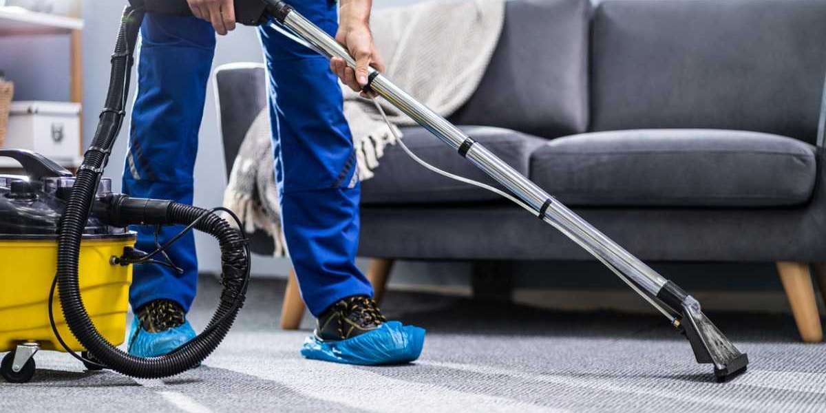 Best Carpet Cleaner Denver, CO