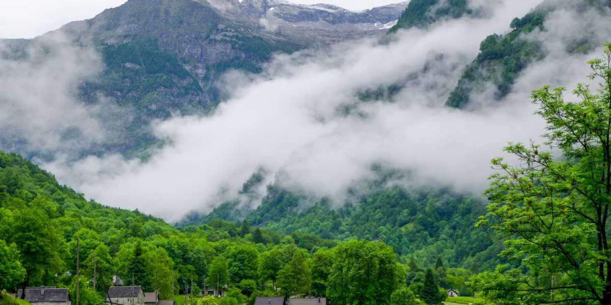 Top Hill Stations in India for a Cool Summer Escape