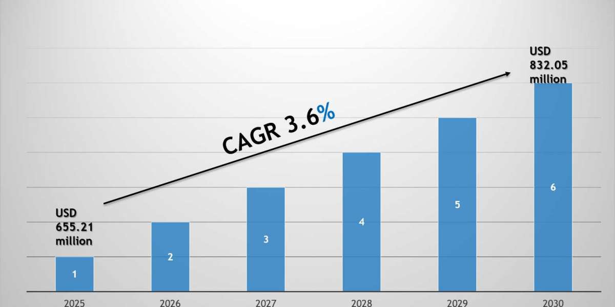 India Parking Systems Market Growth Trends, Volume Insights & Outlook 2030