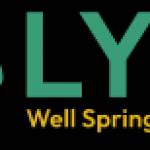 Lynk Well Spring Services Profile Picture