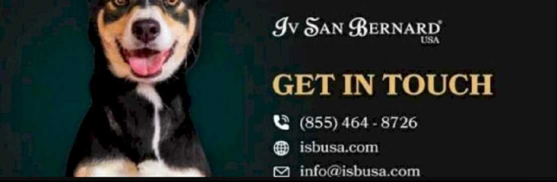 Iv San Bernard USA Cover Image