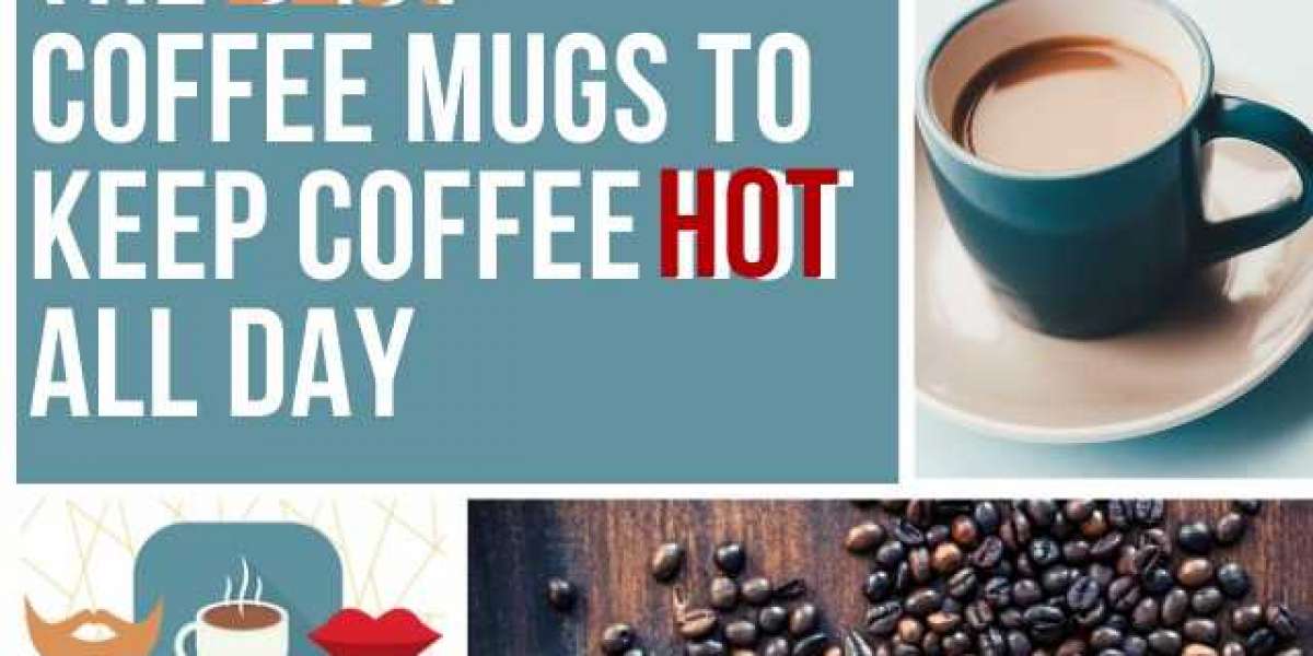 Best Coffee Cups for Coffee Lovers: Styles, Materials, and Latest Designs in 2025