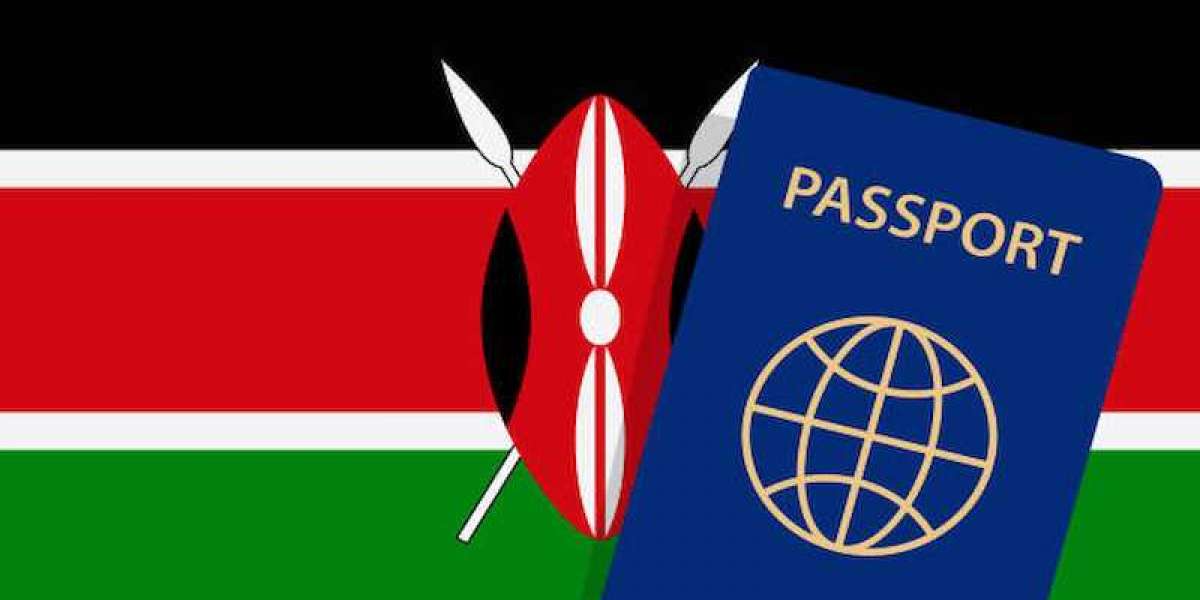 How to Reapply After a Kenya Visa Rejection