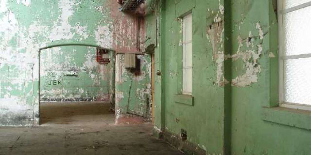 Wachstumshormone HGH, STH und IGF-1 im Bodybuilding