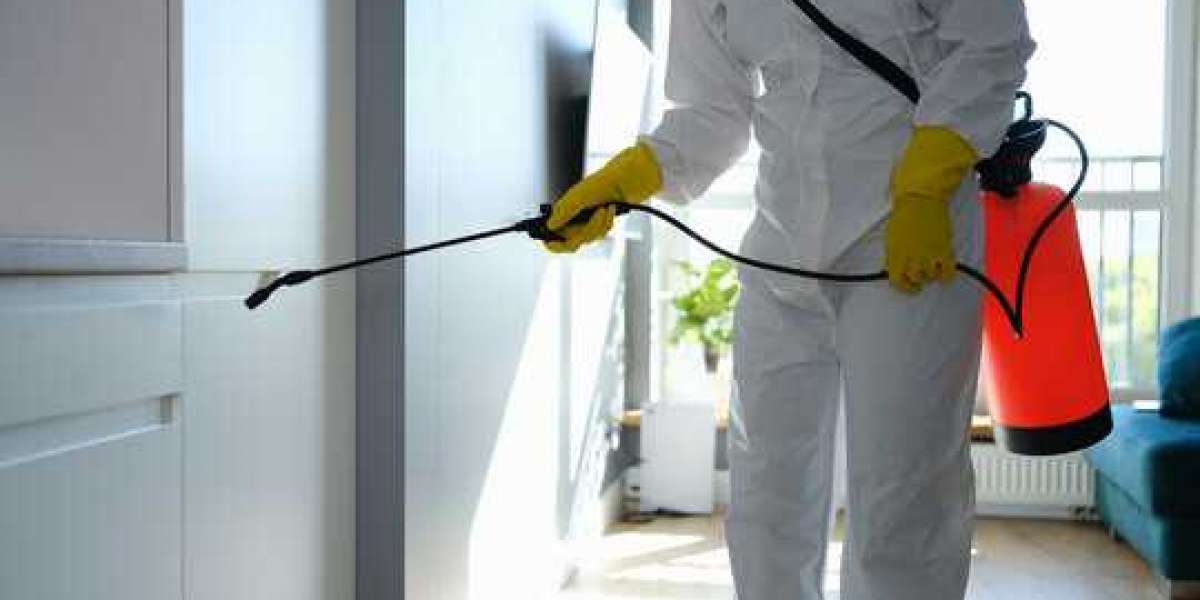 Why Smart Renters Rely on Pest Management NYC for Peace of Mind