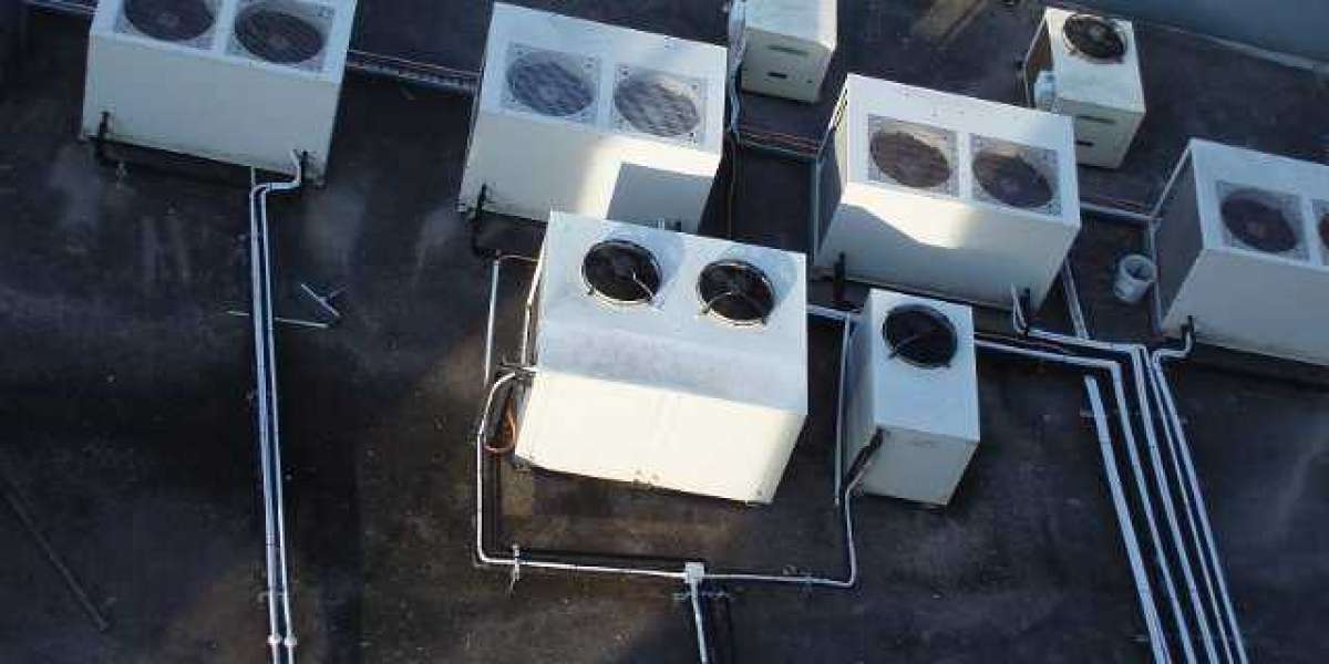 HGH – Was ist ein Wachstumshormon?