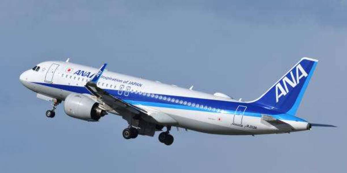 All Nippon Airways MEX Terminal +1-888-738-0817