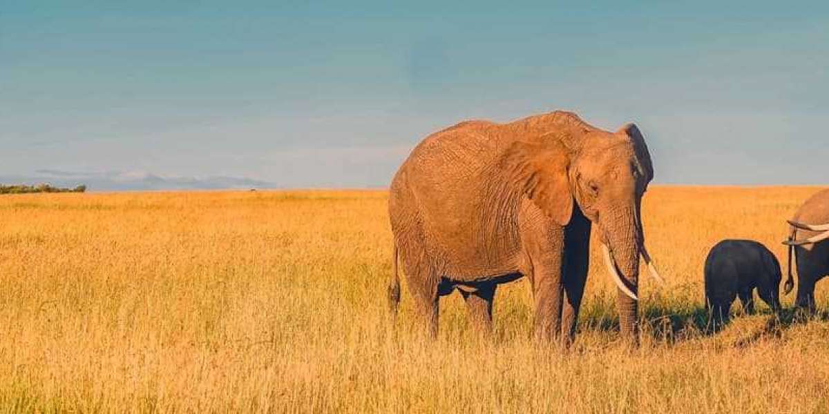 hggjhhhhhhhhhhhhhhhhhhhhhhhhhhhhhhhhhhhhhhhhhhhhhhhhhhhhhhhhhhhhhhhhhhhhhhhhhhh