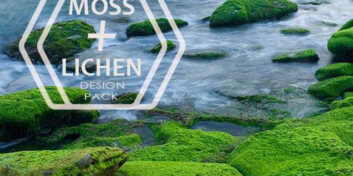 Somatropin: Nebenwirkungen, Einsatzgebiete, Dosierung, Wechselwirkungen und Warnhinweise