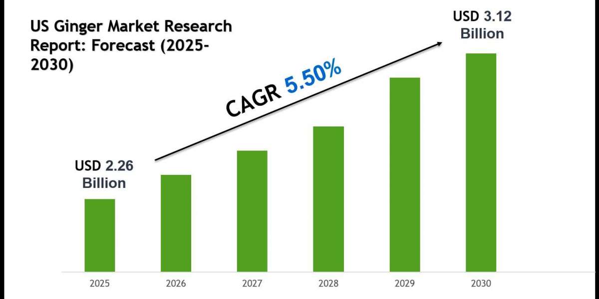 US Ginger Market 2030: Executive Summary, Key Trends & Future Outlook