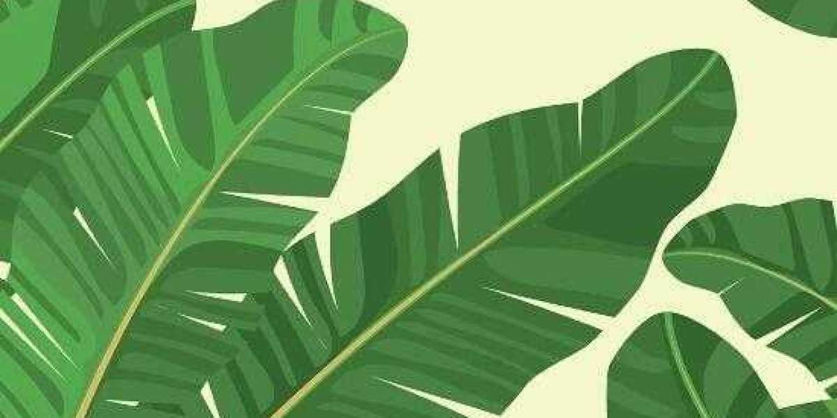 Where to Move so you do not Need to Pay ANY Income Tax