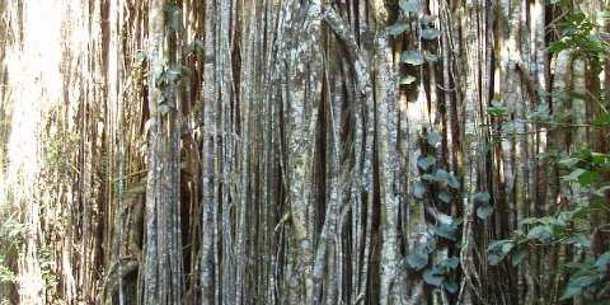 Unser Unternehmen – H & G