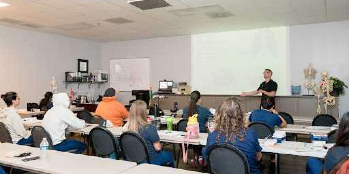 Are Mastery Programs at Massage Therapist Schools Suitable for Beginners?