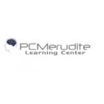 PC Merudite Profile Picture