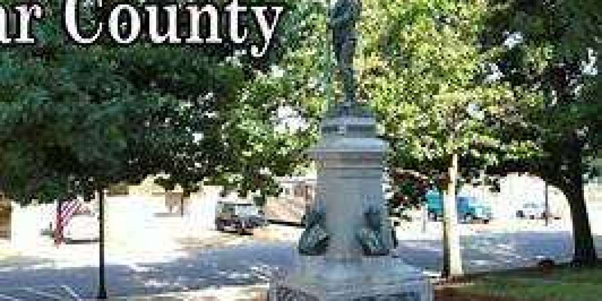 Article Picture