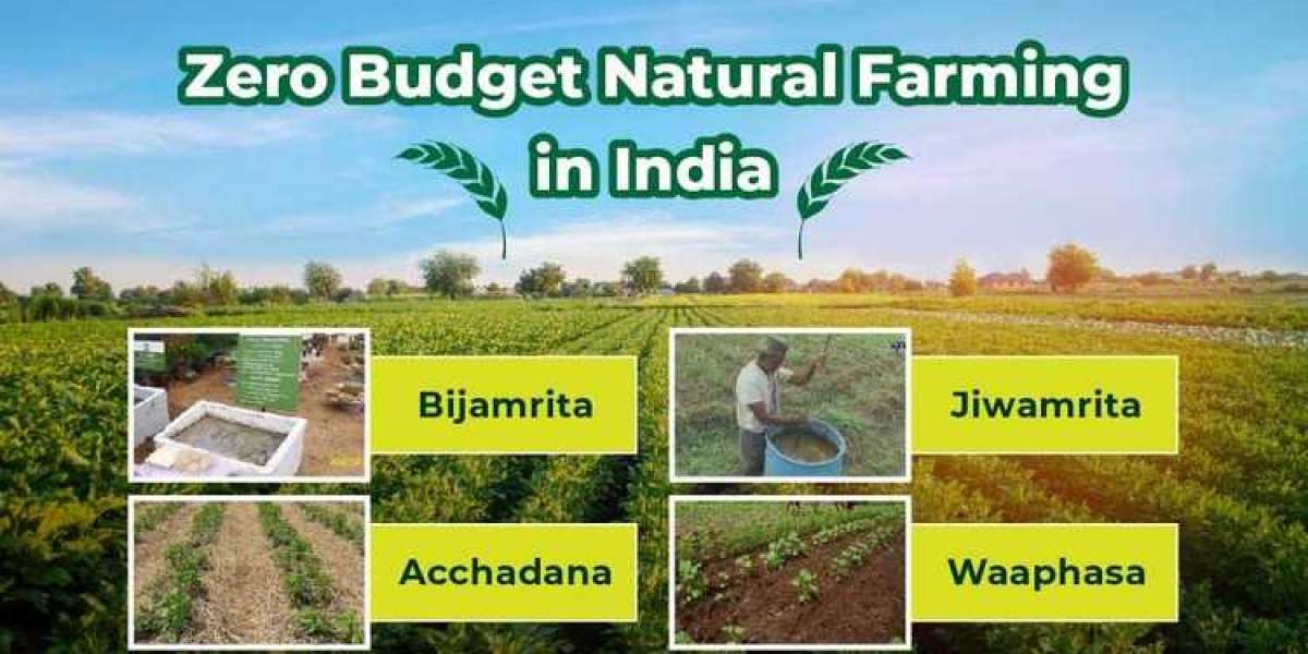 Explore the Zero Budget Natural Farming in India