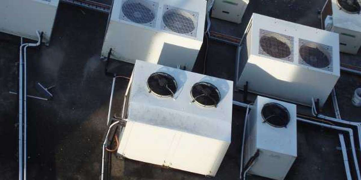 Die vier wichtigsten Hormone für den Muskelaufbau