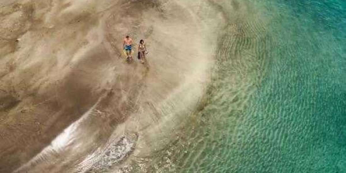 An Examination of The Federal Housing Finance Agency's Real Estate Owned (REO) Pilot Program