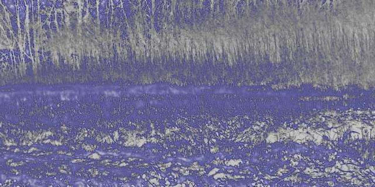 Was ist Wachstumshormon?