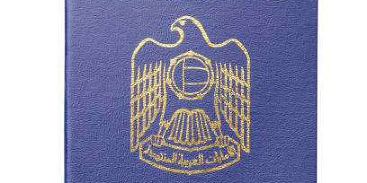 دليل خطوة بخطوة لتقديم طلب تأشيرة دبي للمسافرين من رجال الأعمال