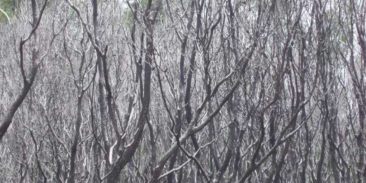 Der ultimative Leitfaden zu HGH-Injektionen bei Kindern