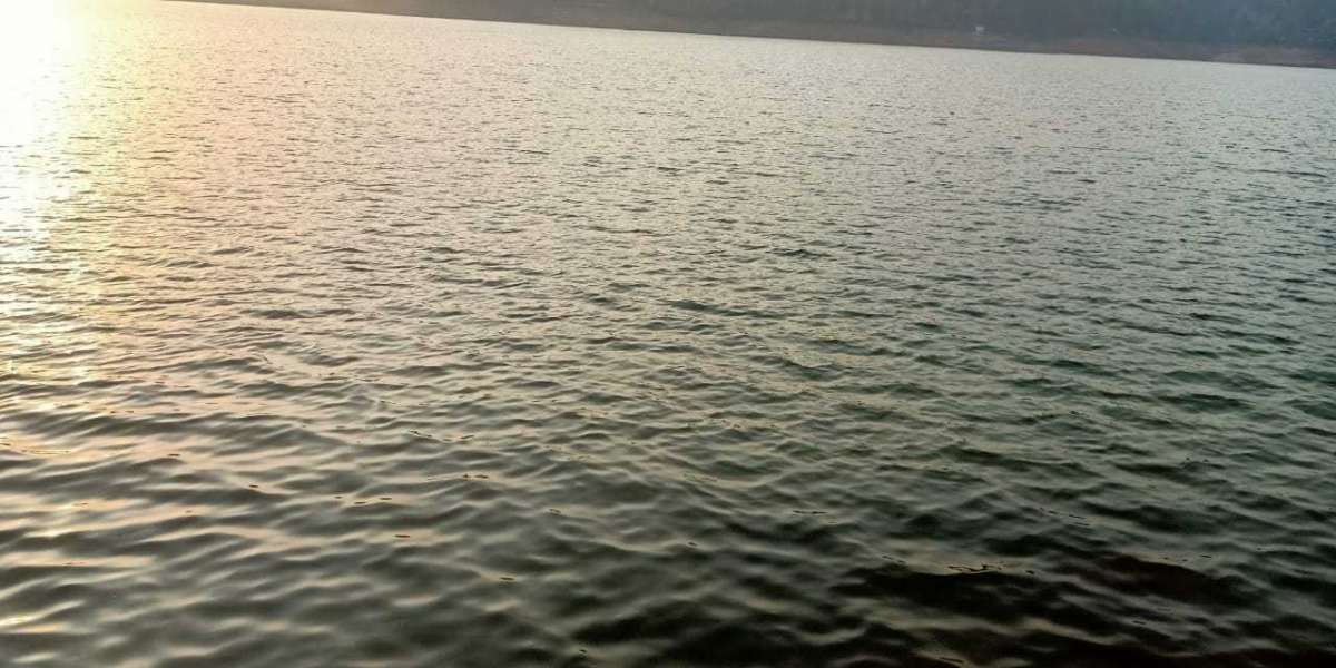 Discover the Best of Shillong: Top Things to Do for an Unforgettable Experience