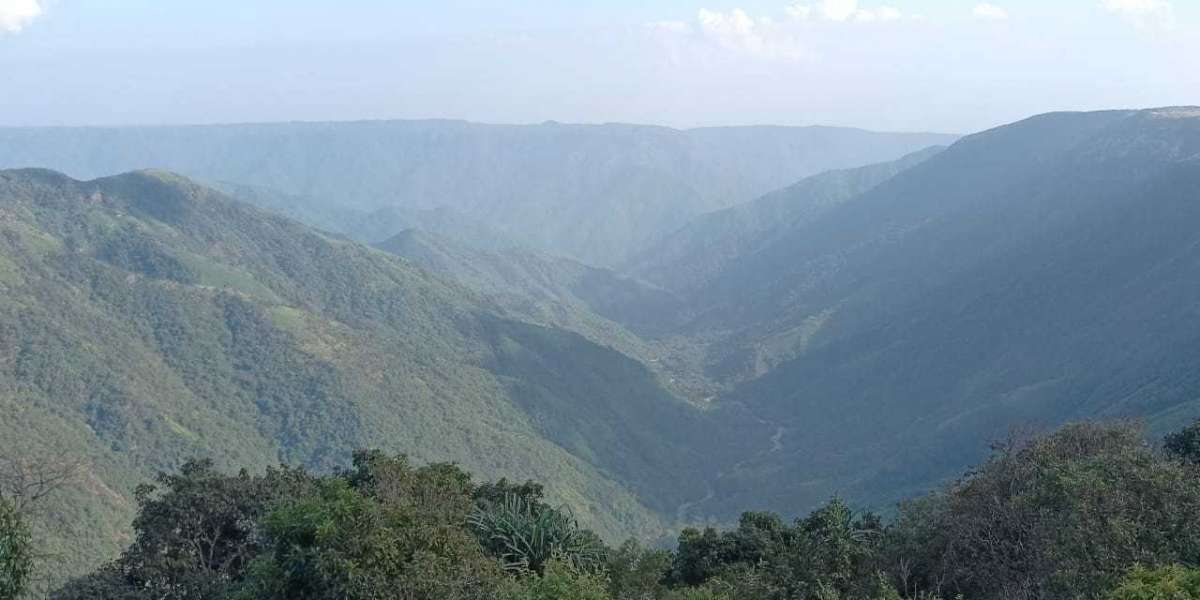 Assam Tour Packages: Discover the Soul of Northeast India
