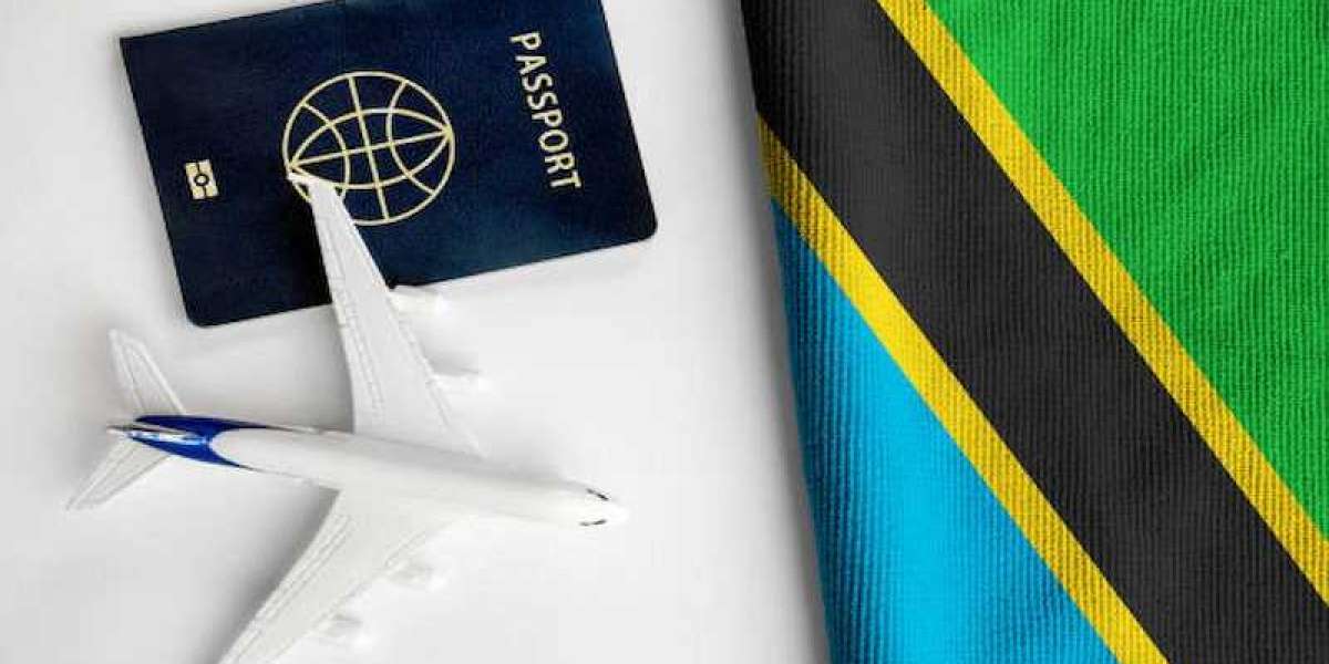 How Long Does a Tanzania Visa Take to Process?