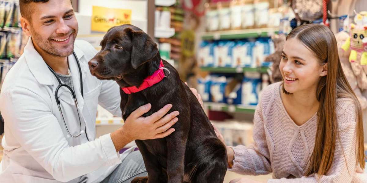 Understanding Heartworm Protection for Dogs in the United States