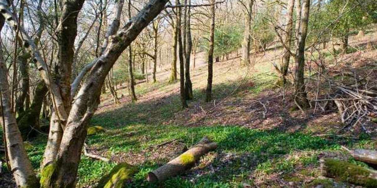 Titel: Wachstumshormon – Nebenwirkungen und Definition