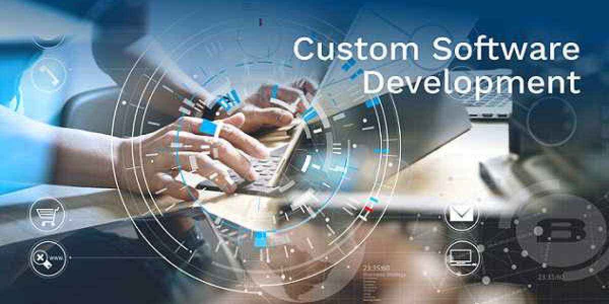 Decoding the Explosive 23.90% Custom Software Development Market CAGR