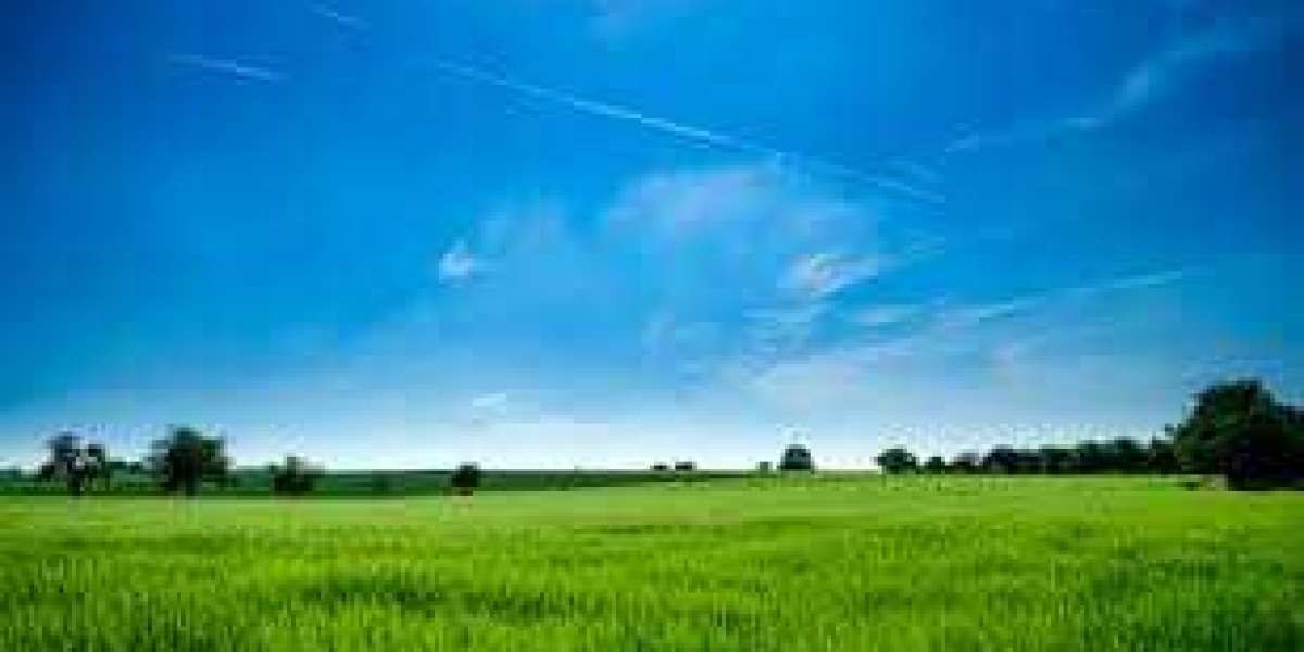 Unlock Growth Potential with a Plot for Sale in Meghalaya