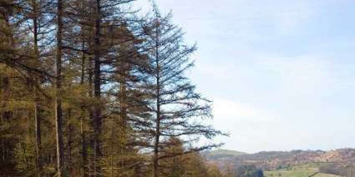 List of casinos in Pennsylvania Wikipedia