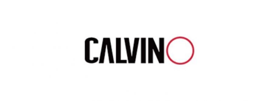 Calvino At Cover Image