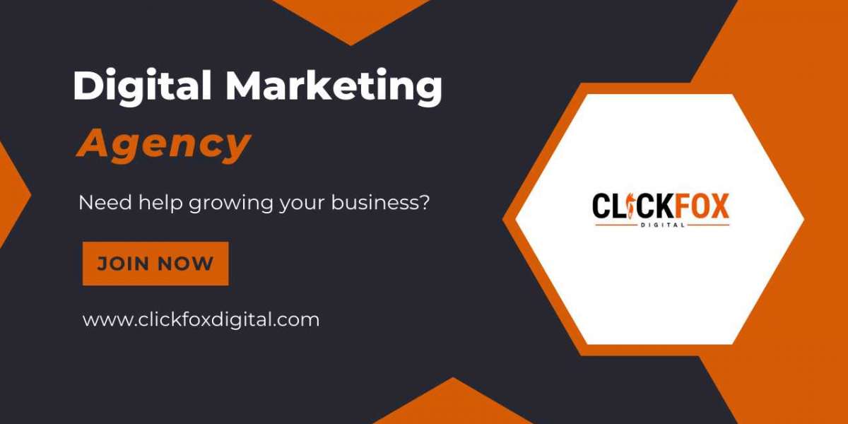 Professional SEO Company in Gorakhpur for Startups