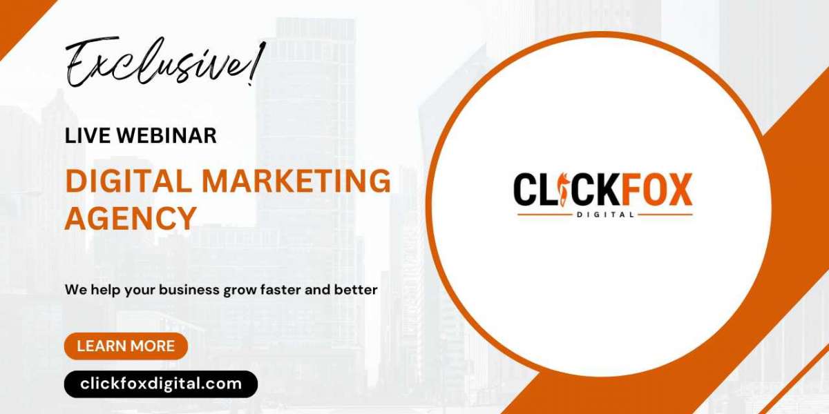 Professional SEO Company in Gorakhpur for Startups