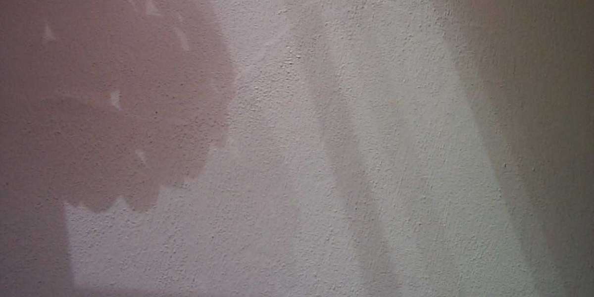 Ensuring Brisbane casino doesn't become an 'eyesore' should be a priority amid Star's financial woes