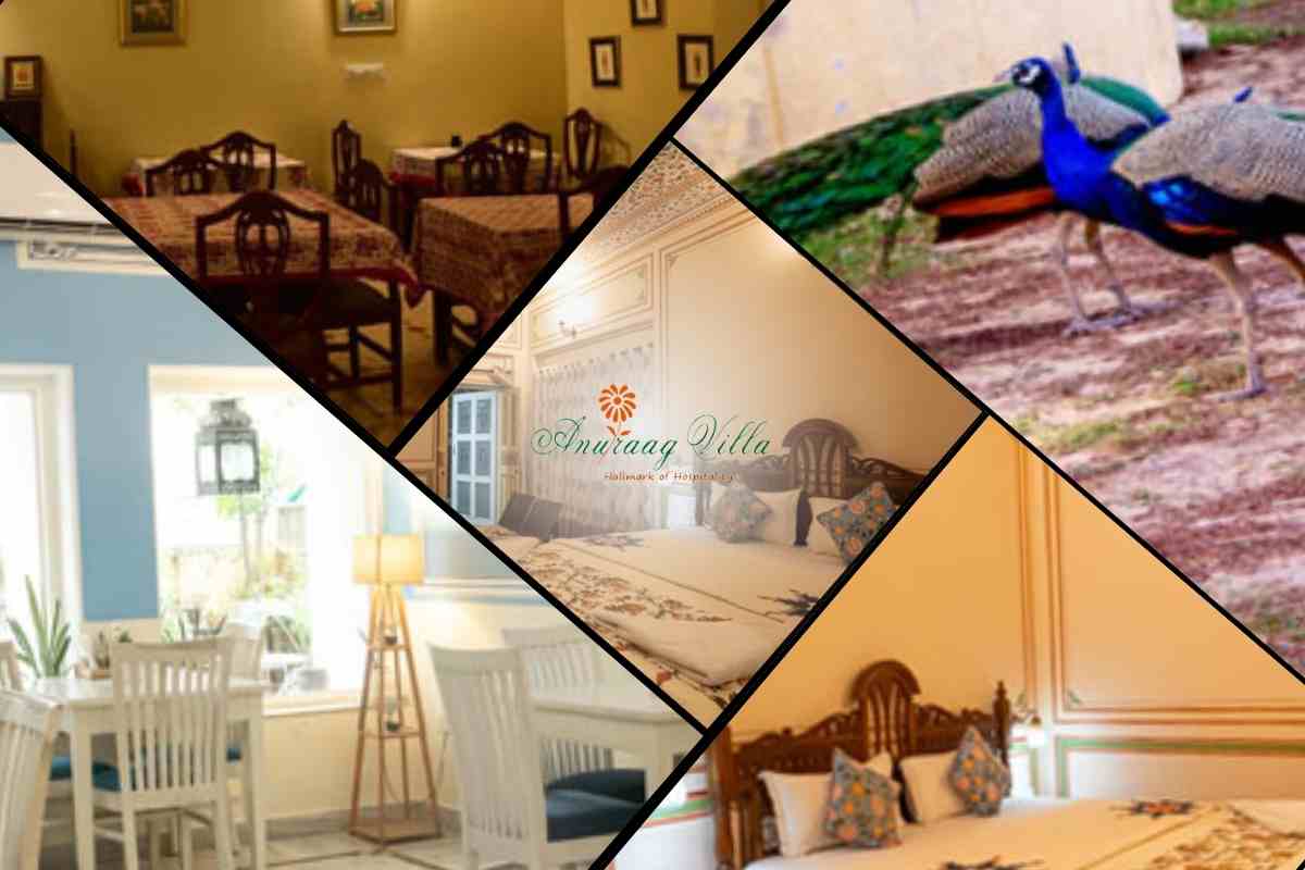 Family Trips Under Budget: Top Jaipur Hotels Offering Great Value