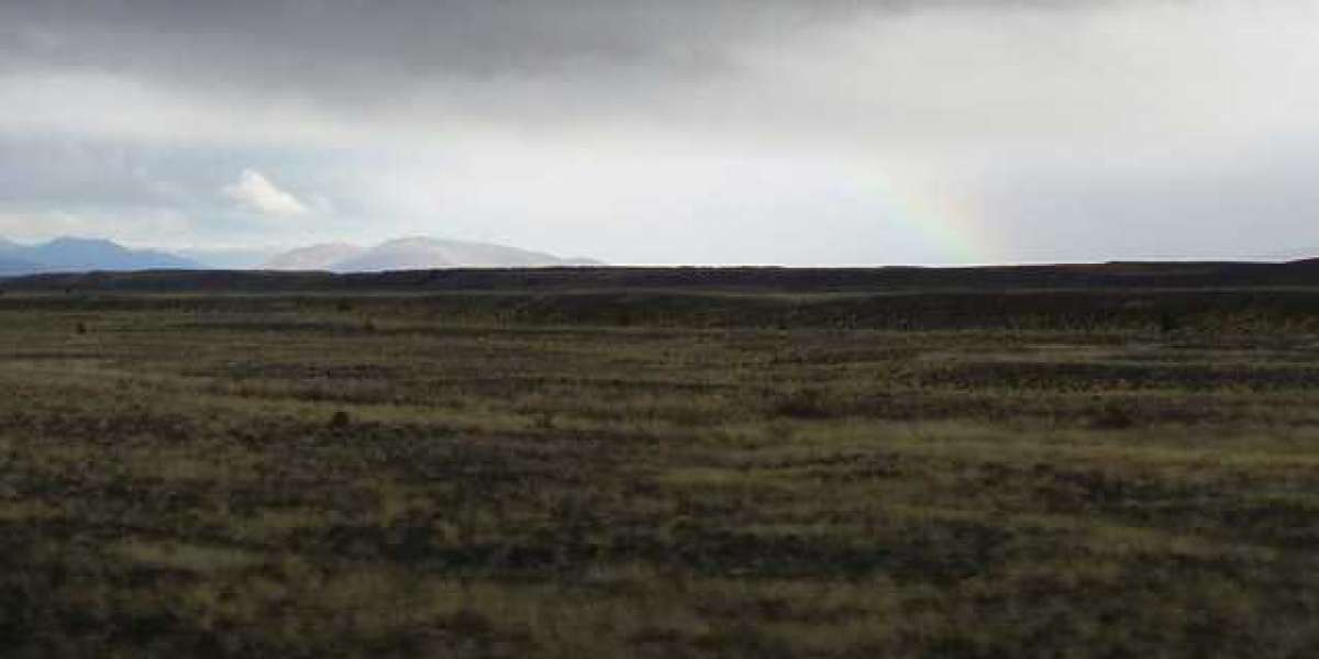 Neospin Casino: Top Online Casino in Australia for Real Money Play