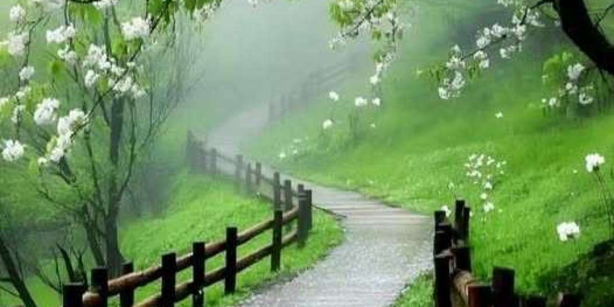 RECAP: Blackhawks Overcome Back again, Slide toward Senators within Extra time