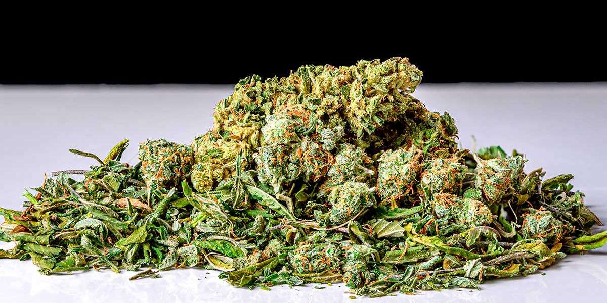 Shake Dispensary Deals: How to Save Money on Quality Cannabis in Canada