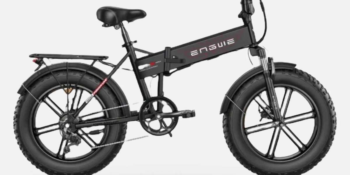 Ouxi Accu: Betrouwbare Energiebron voor OUXI Elektrische Fietsen