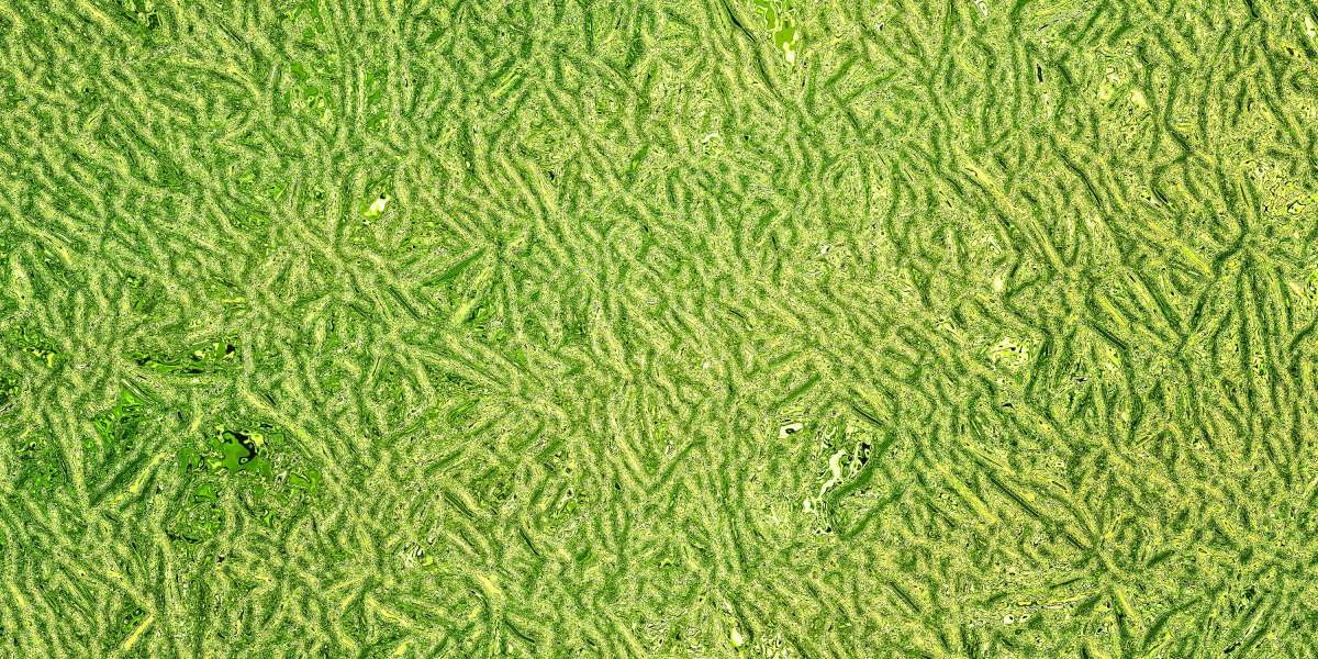 Observational Research on Lear Capital IRA: An In-Depth Analysis