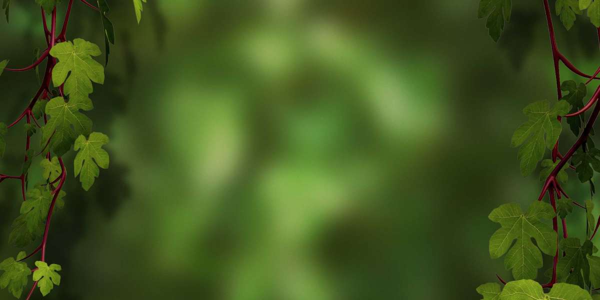 Finding Personal Loans with Bad Credit: Your Guide to Financial Options