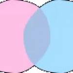 chatdansk Profile Picture