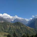 sherpa teams Profile Picture