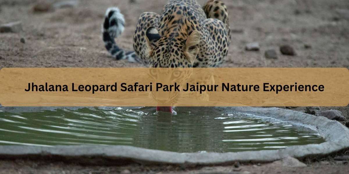 Jhalana Leopard Safari Park Jaipur Nature Experience