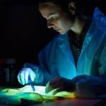 Talha Khan Profile Picture