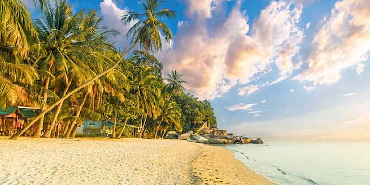 Best Time to Plan a Malaysia Tour: Weather & Seasonal Tips